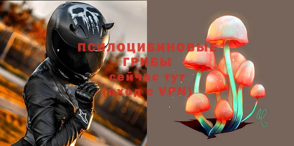 сатива Киреевск