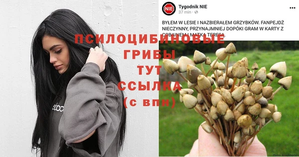 ECSTASY Кинешма