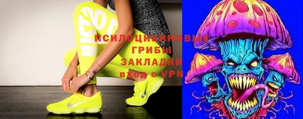 сатива Киреевск