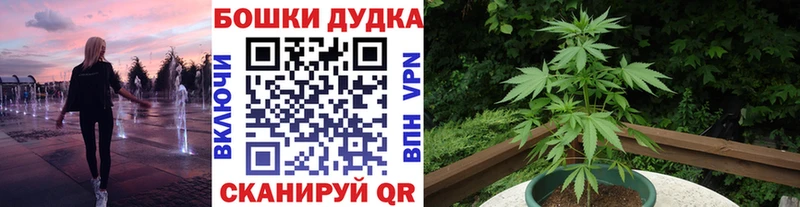 Купить  Бугульма  Каннабис сатива 